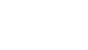 Clean NZ Expo Logo